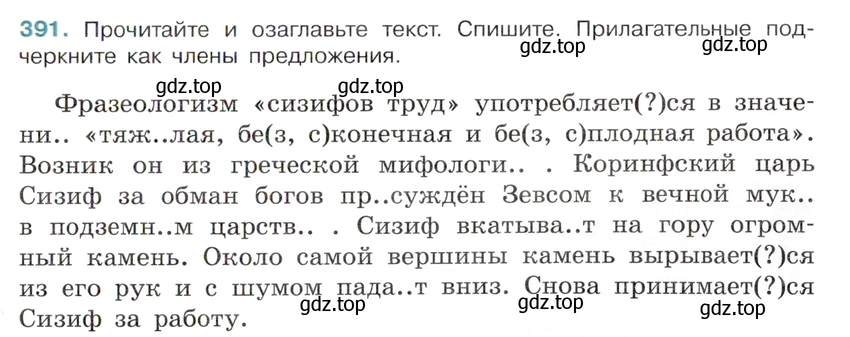 Условие номер 391 (страница 19) гдз по русскому языку 6 класс Баранов, Ладыженская, учебник 2 часть