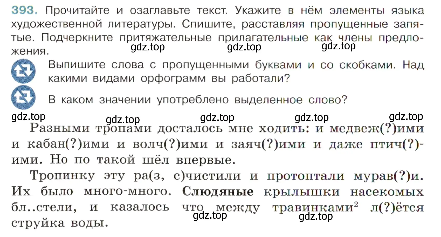 Условие номер 393 (страница 20) гдз по русскому языку 6 класс Баранов, Ладыженская, учебник 2 часть