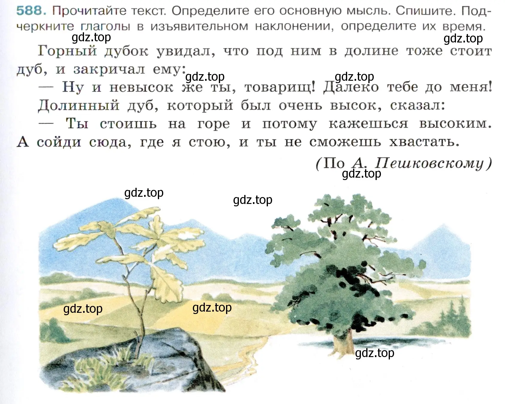 Условие номер 588 (страница 119) гдз по русскому языку 6 класс Баранов, Ладыженская, учебник 2 часть