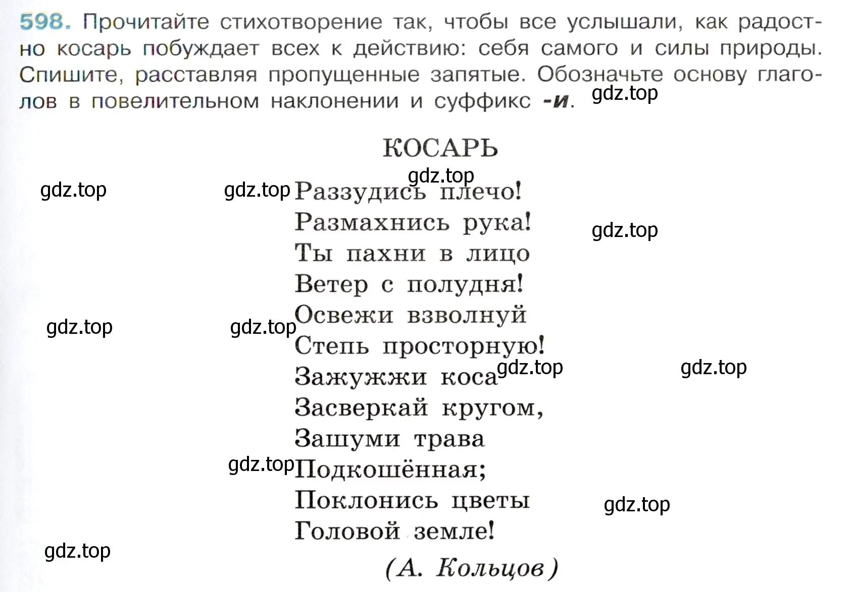 Условие номер 598 (страница 127) гдз по русскому языку 6 класс Баранов, Ладыженская, учебник 2 часть