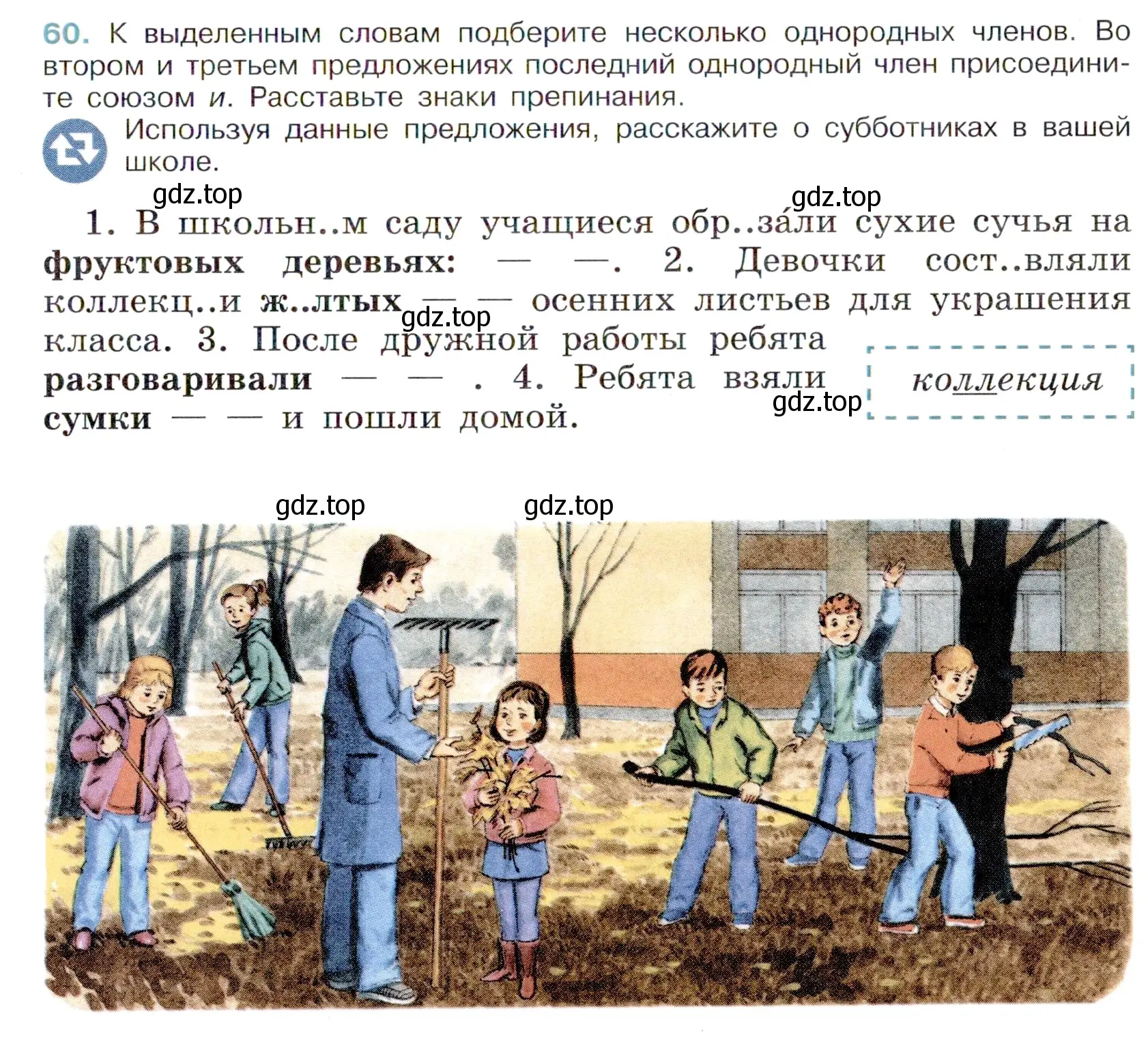 Условие номер 60 (страница 29) гдз по русскому языку 6 класс Баранов, Ладыженская, учебник 1 часть