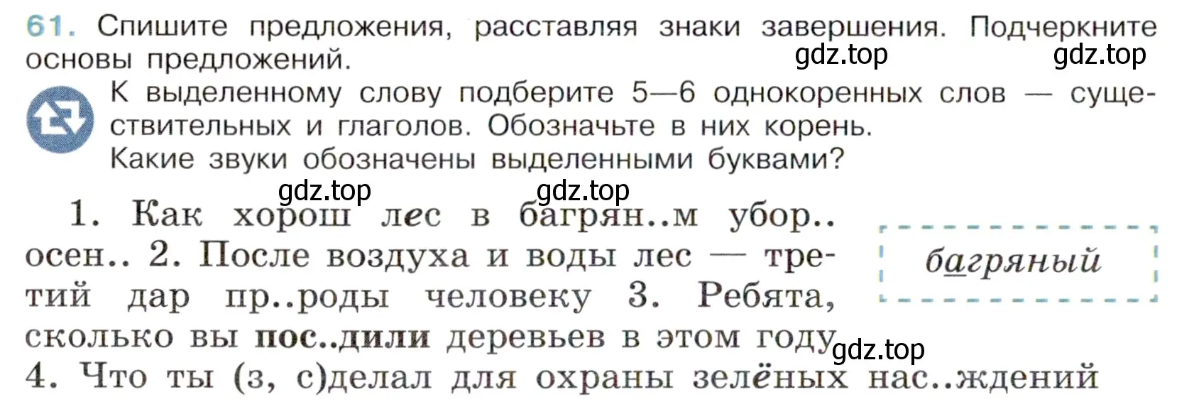 Условие номер 61 (страница 30) гдз по русскому языку 6 класс Баранов, Ладыженская, учебник 1 часть