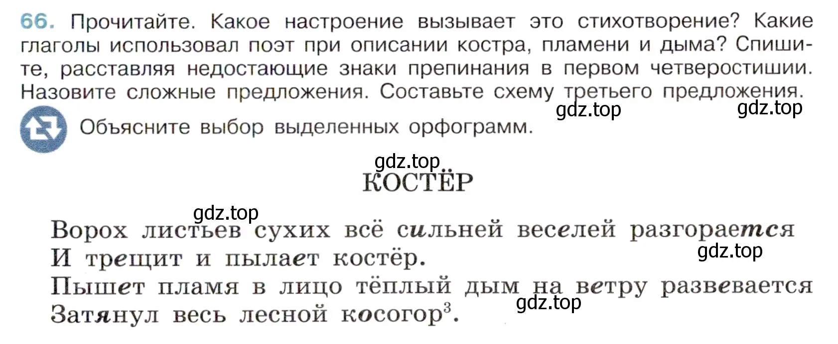 Условие номер 66 (страница 31) гдз по русскому языку 6 класс Баранов, Ладыженская, учебник 1 часть