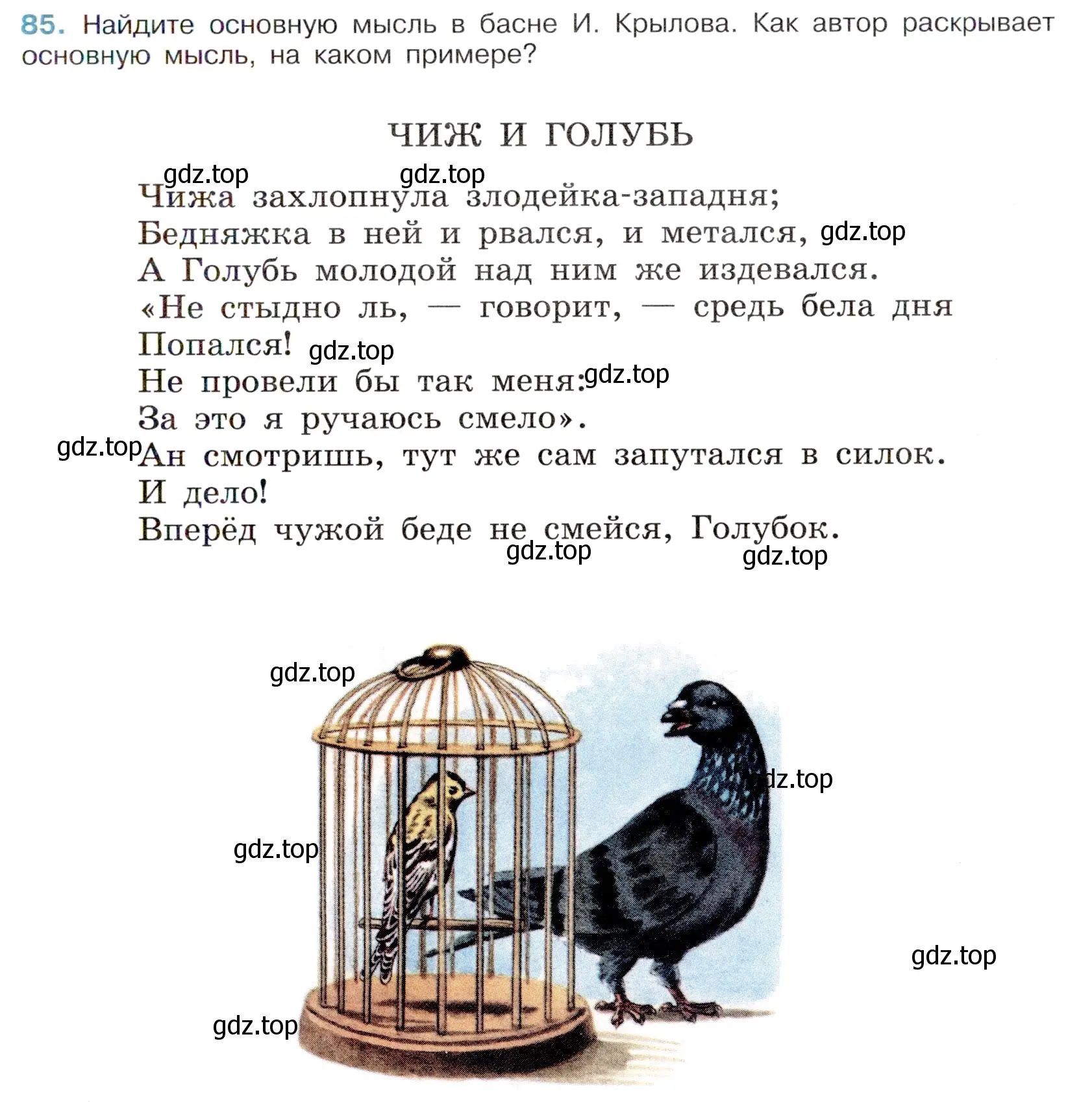 Условие номер 85 (страница 41) гдз по русскому языку 6 класс Баранов, Ладыженская, учебник 1 часть