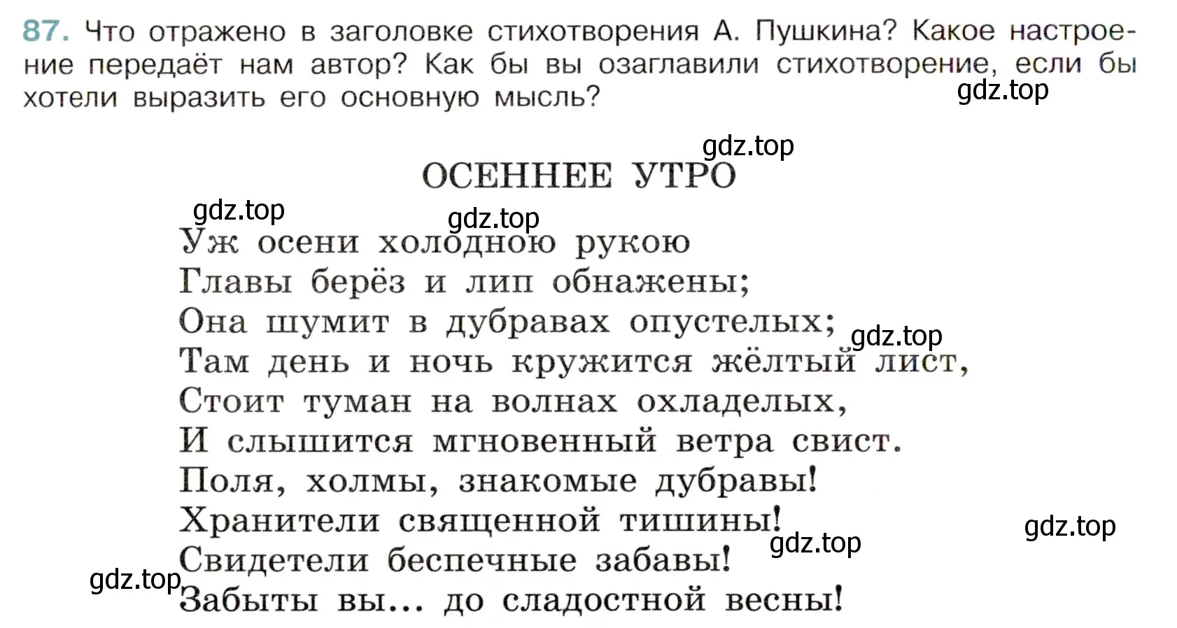 Условие номер 87 (страница 42) гдз по русскому языку 6 класс Баранов, Ладыженская, учебник 1 часть