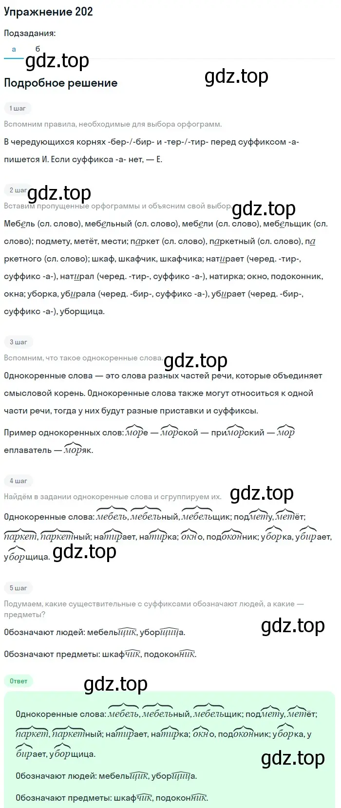 Решение номер 202 (страница 100) гдз по русскому языку 6 класс Баранов, Ладыженская, учебник 1 часть