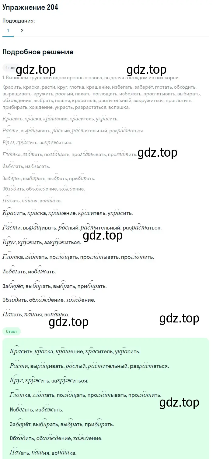 Решение номер 204 (страница 100) гдз по русскому языку 6 класс Баранов, Ладыженская, учебник 1 часть