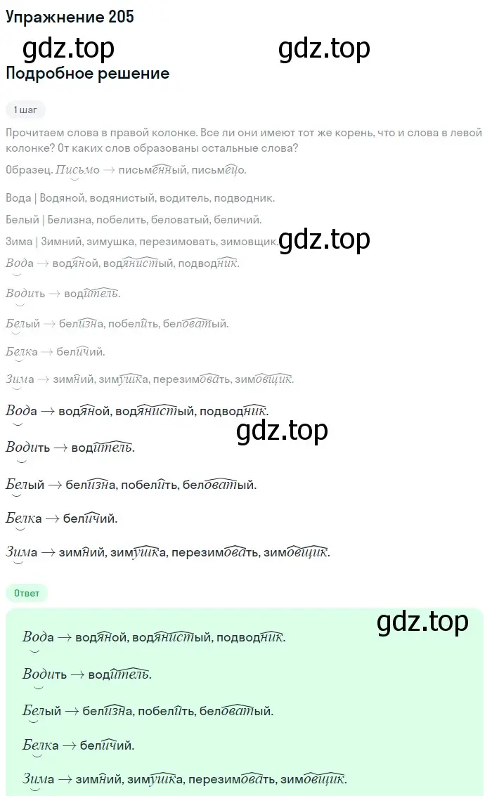 Решение номер 205 (страница 101) гдз по русскому языку 6 класс Баранов, Ладыженская, учебник 1 часть