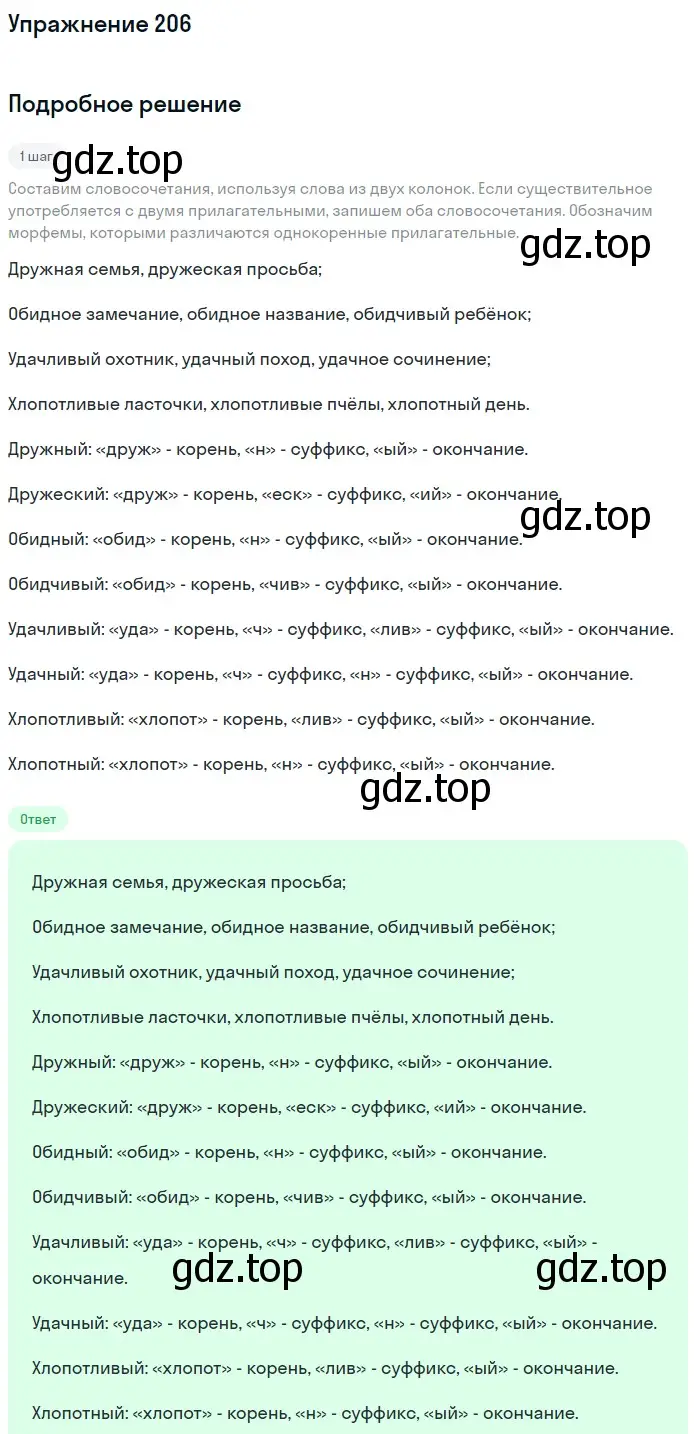 Решение номер 206 (страница 101) гдз по русскому языку 6 класс Баранов, Ладыженская, учебник 1 часть