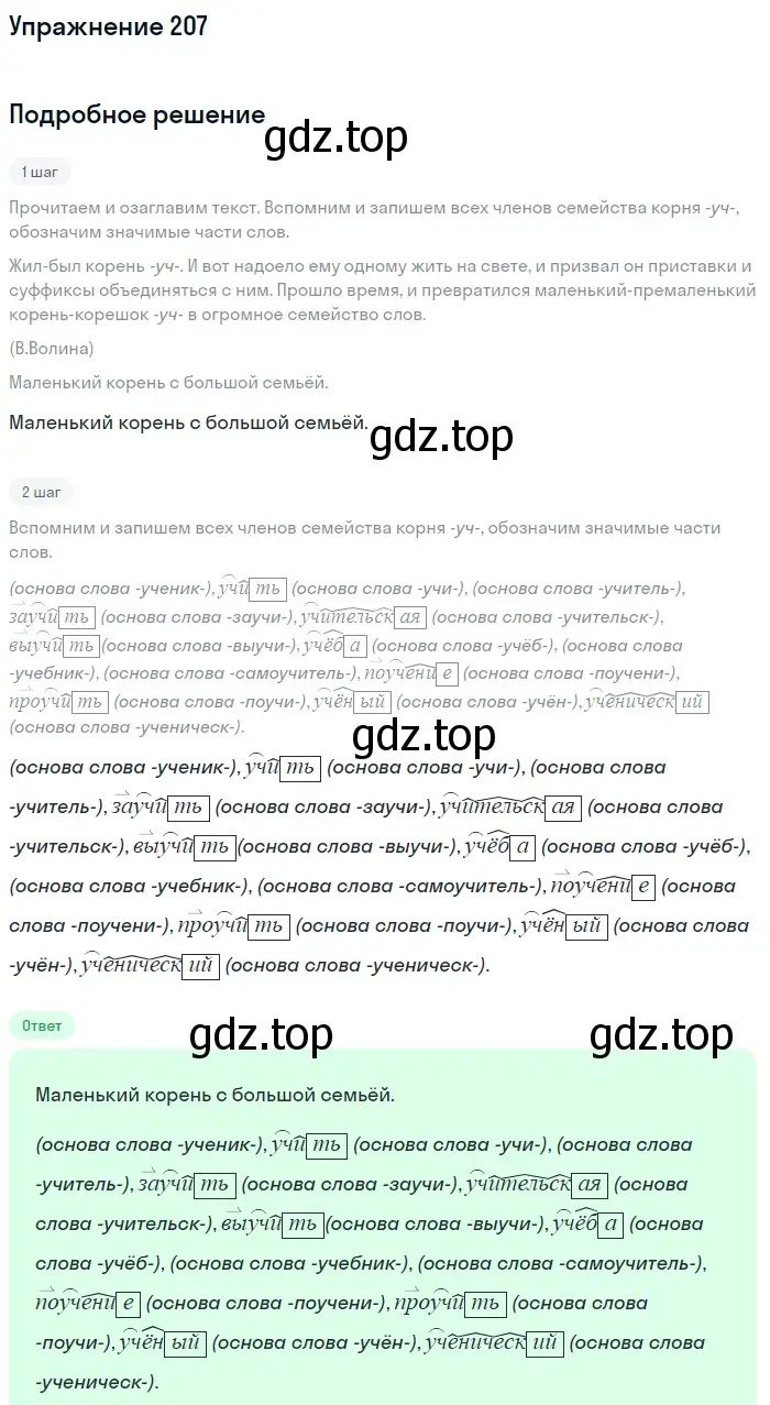 Решение номер 207 (страница 101) гдз по русскому языку 6 класс Баранов, Ладыженская, учебник 1 часть