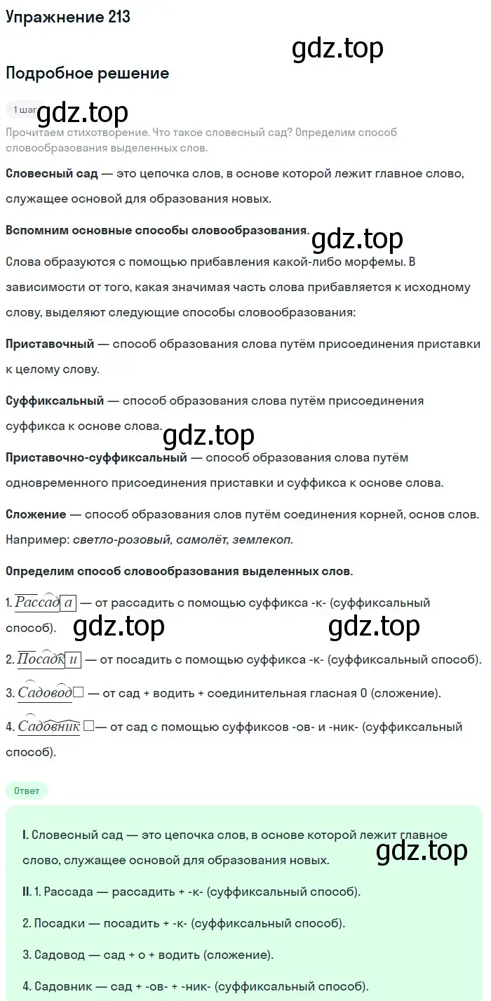 Решение номер 213 (страница 106) гдз по русскому языку 6 класс Баранов, Ладыженская, учебник 1 часть