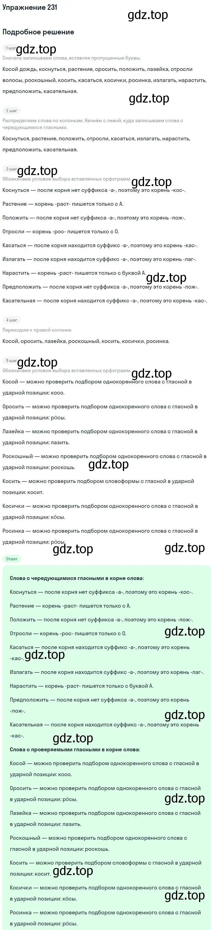 Решение номер 231 (страница 116) гдз по русскому языку 6 класс Баранов, Ладыженская, учебник 1 часть