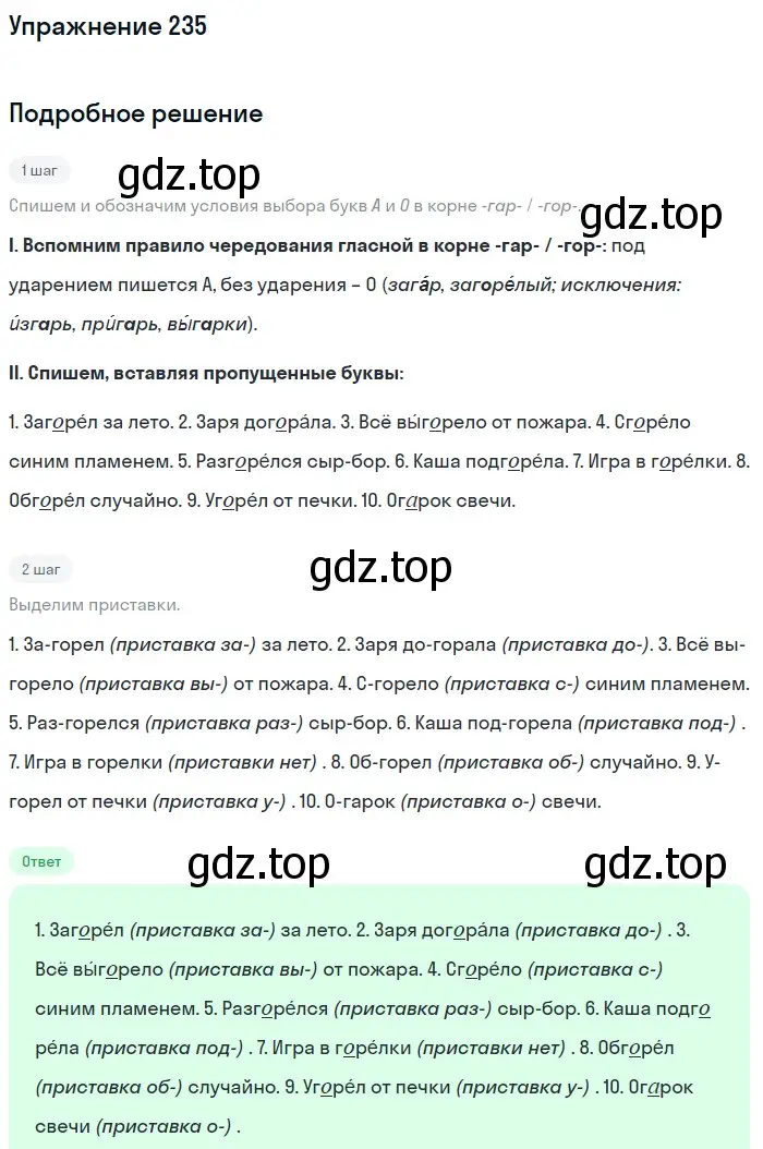 Решение номер 235 (страница 117) гдз по русскому языку 6 класс Баранов, Ладыженская, учебник 1 часть