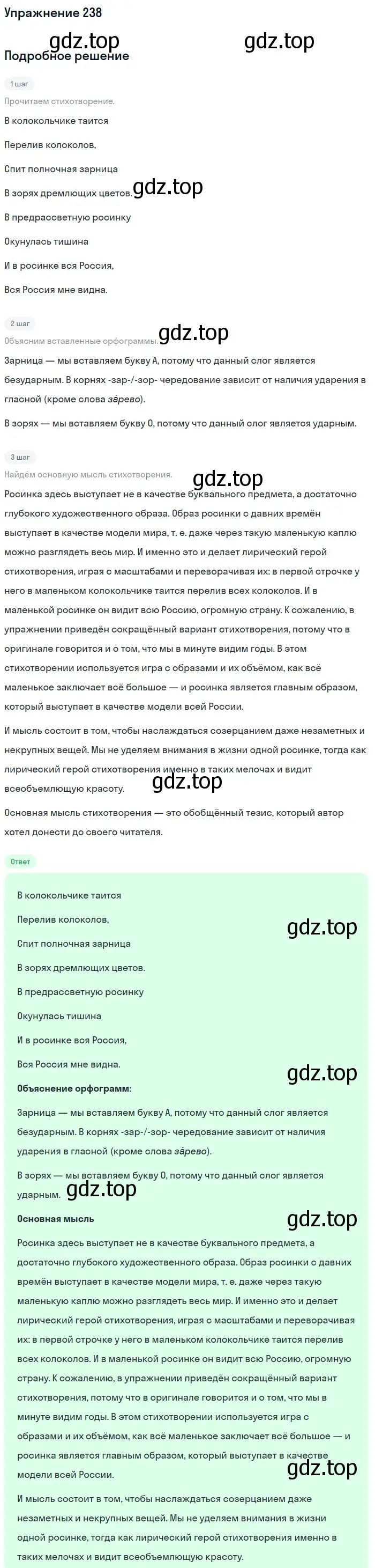 Решение номер 238 (страница 118) гдз по русскому языку 6 класс Баранов, Ладыженская, учебник 1 часть