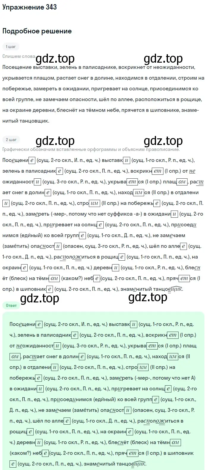 Решение номер 343 (страница 160) гдз по русскому языку 6 класс Баранов, Ладыженская, учебник 1 часть