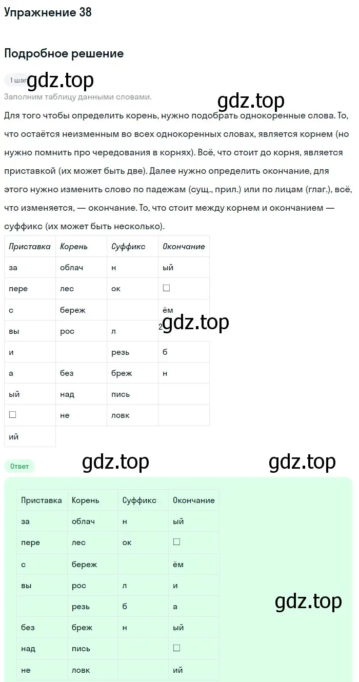 Решение номер 38 (страница 19) гдз по русскому языку 6 класс Баранов, Ладыженская, учебник 1 часть