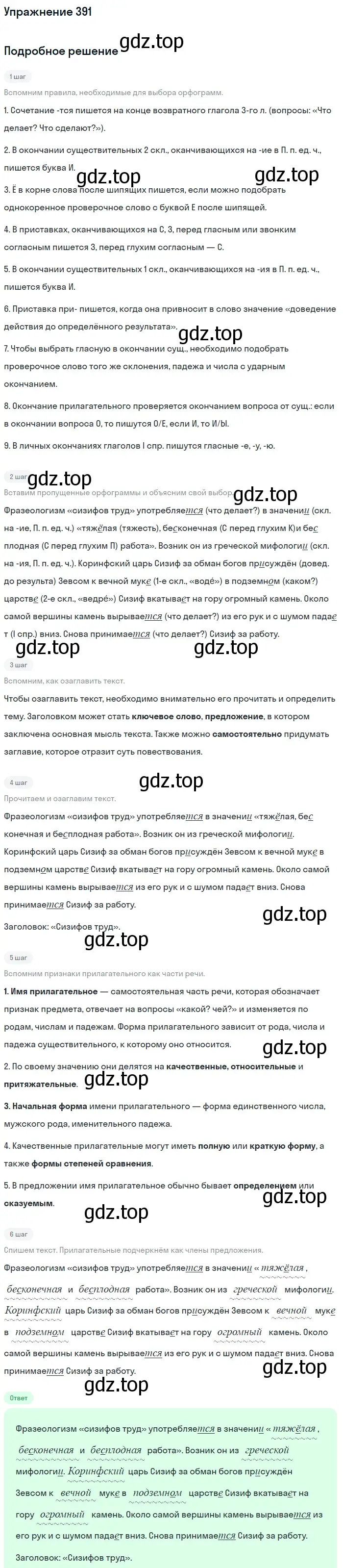 Решение номер 391 (страница 19) гдз по русскому языку 6 класс Баранов, Ладыженская, учебник 2 часть