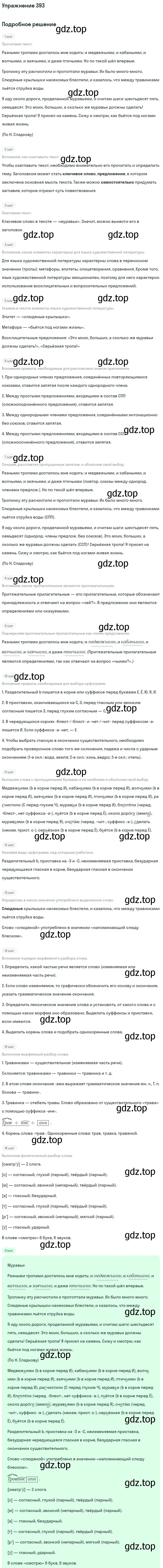 Решение номер 393 (страница 20) гдз по русскому языку 6 класс Баранов, Ладыженская, учебник 2 часть