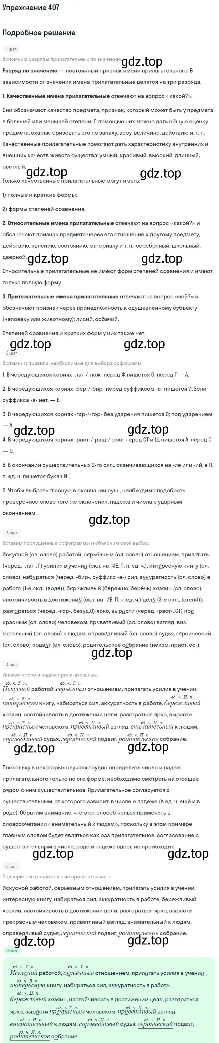 Решение номер 407 (страница 28) гдз по русскому языку 6 класс Баранов, Ладыженская, учебник 2 часть