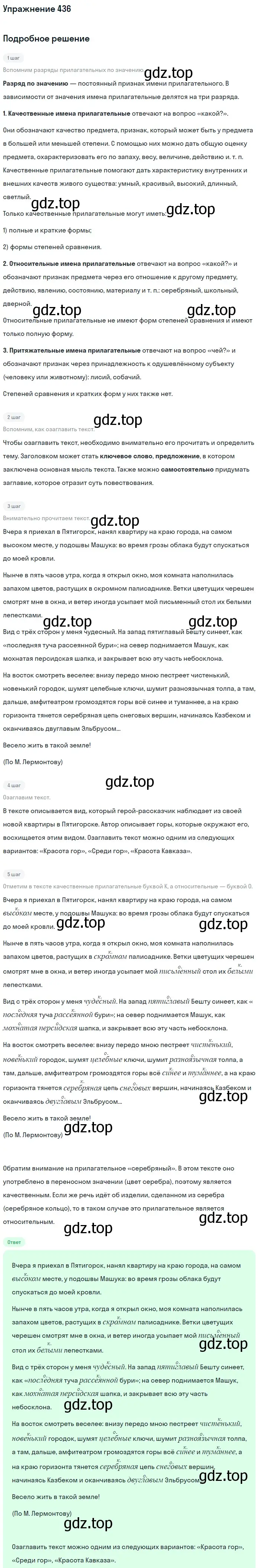 Решение номер 436 (страница 41) гдз по русскому языку 6 класс Баранов, Ладыженская, учебник 2 часть