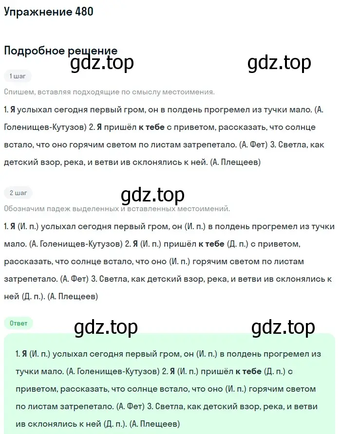 Решение номер 480 (страница 66) гдз по русскому языку 6 класс Баранов, Ладыженская, учебник 2 часть