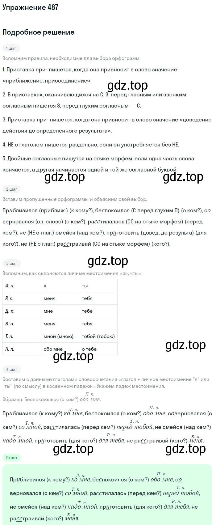 Решение номер 487 (страница 69) гдз по русскому языку 6 класс Баранов, Ладыженская, учебник 2 часть