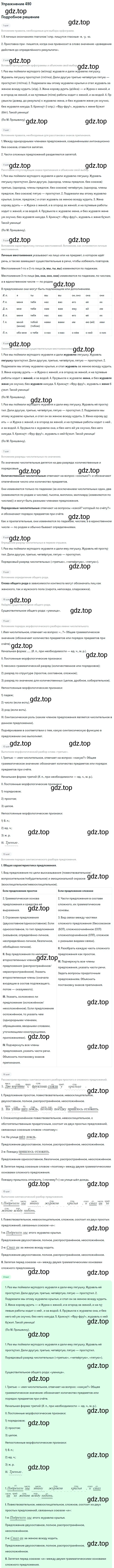 Решение номер 490 (страница 70) гдз по русскому языку 6 класс Баранов, Ладыженская, учебник 2 часть