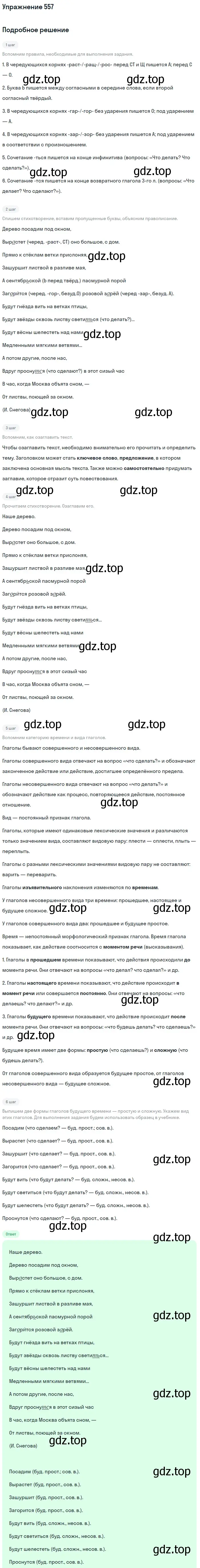 Решение номер 557 (страница 104) гдз по русскому языку 6 класс Баранов, Ладыженская, учебник 2 часть