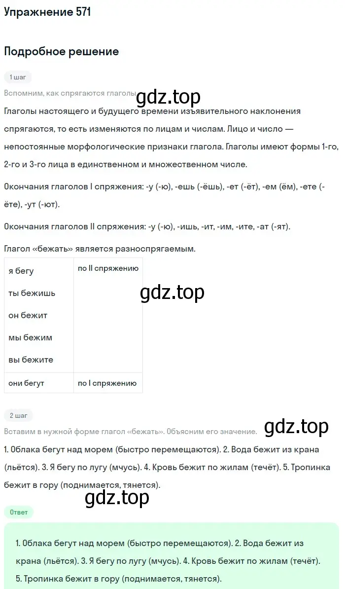 Решение номер 571 (страница 111) гдз по русскому языку 6 класс Баранов, Ладыженская, учебник 2 часть