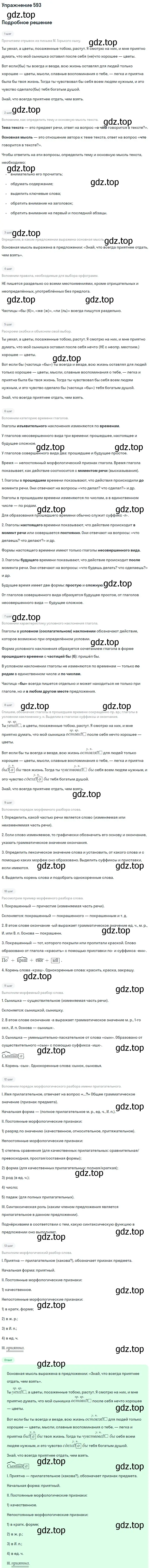 Решение номер 593 (страница 123) гдз по русскому языку 6 класс Баранов, Ладыженская, учебник 2 часть