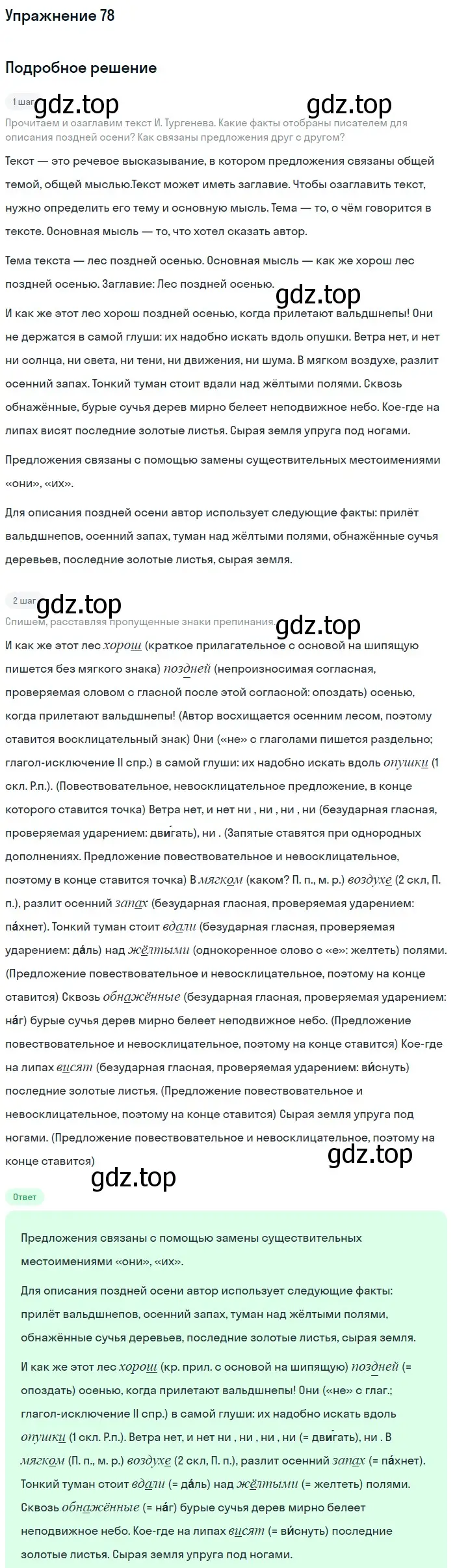 Решение номер 78 (страница 38) гдз по русскому языку 6 класс Баранов, Ладыженская, учебник 1 часть