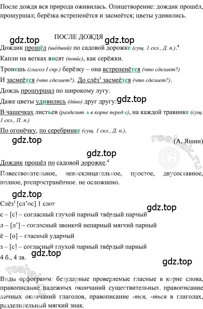 Решение 2. номер 113 (страница 56) гдз по русскому языку 6 класс Баранов, Ладыженская, учебник 1 часть