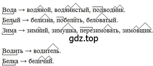 Решение 2. номер 205 (страница 101) гдз по русскому языку 6 класс Баранов, Ладыженская, учебник 1 часть