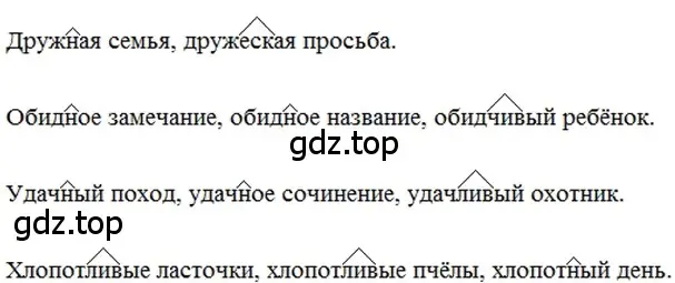 Решение 2. номер 206 (страница 101) гдз по русскому языку 6 класс Баранов, Ладыженская, учебник 1 часть