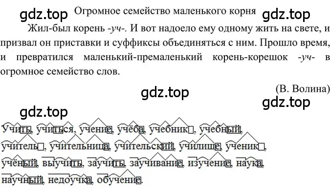 Решение 2. номер 207 (страница 101) гдз по русскому языку 6 класс Баранов, Ладыженская, учебник 1 часть