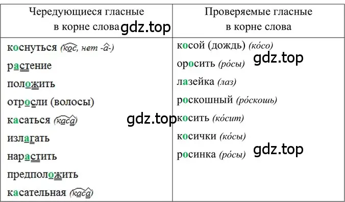 Решение 2. номер 231 (страница 116) гдз по русскому языку 6 класс Баранов, Ладыженская, учебник 1 часть