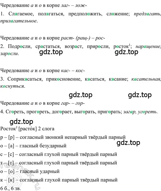 Решение 2. номер 236 (страница 117) гдз по русскому языку 6 класс Баранов, Ладыженская, учебник 1 часть