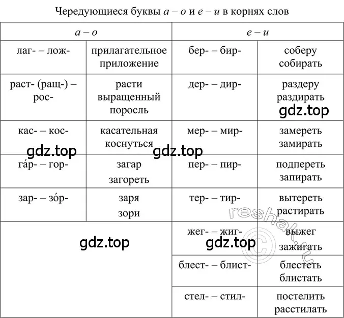 Решение 2. номер 239 (страница 118) гдз по русскому языку 6 класс Баранов, Ладыженская, учебник 1 часть