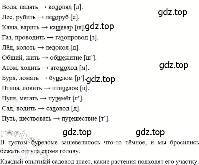 Решение 2. номер 260 (страница 128) гдз по русскому языку 6 класс Баранов, Ладыженская, учебник 1 часть