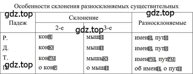 Решение 2. номер 299 (страница 142) гдз по русскому языку 6 класс Баранов, Ладыженская, учебник 1 часть