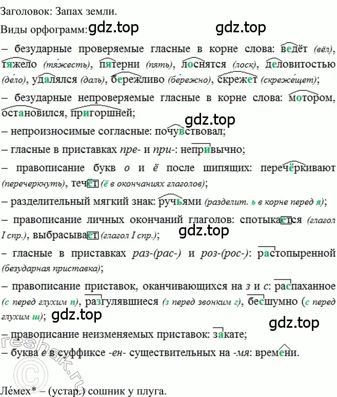 Решение 2. номер 309 (страница 145) гдз по русскому языку 6 класс Баранов, Ладыженская, учебник 1 часть