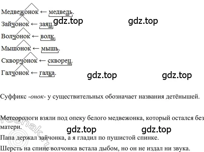 Решение 2. номер 351 (страница 163) гдз по русскому языку 6 класс Баранов, Ладыженская, учебник 1 часть