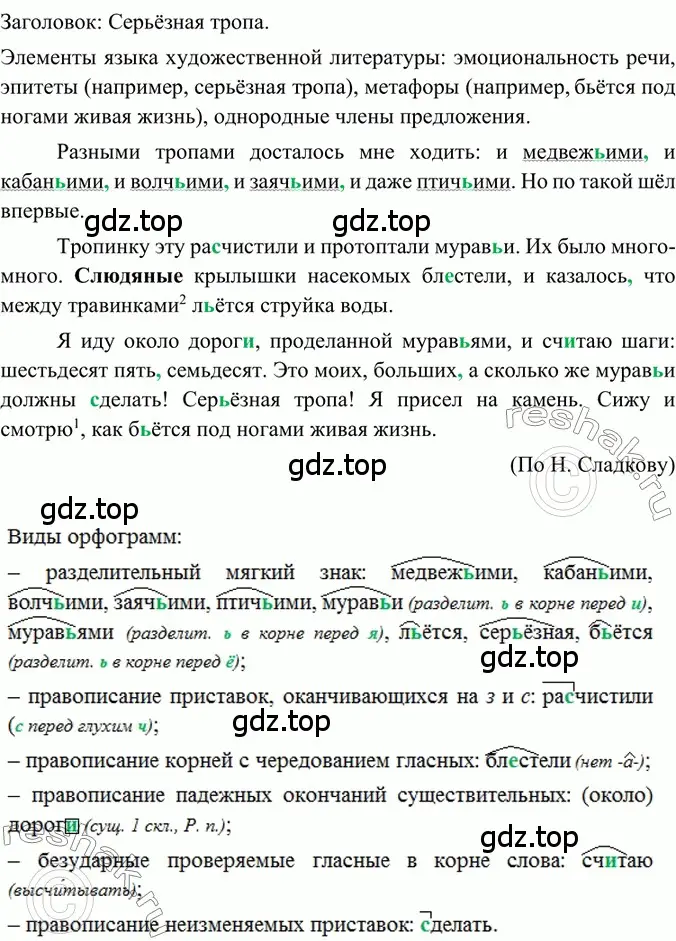 Решение 2. номер 393 (страница 20) гдз по русскому языку 6 класс Баранов, Ладыженская, учебник 2 часть