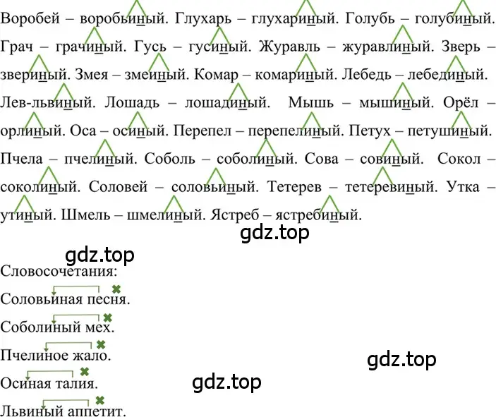 Решение 2. номер 411 (страница 30) гдз по русскому языку 6 класс Баранов, Ладыженская, учебник 2 часть