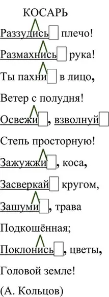 Решение 2. номер 598 (страница 127) гдз по русскому языку 6 класс Баранов, Ладыженская, учебник 2 часть