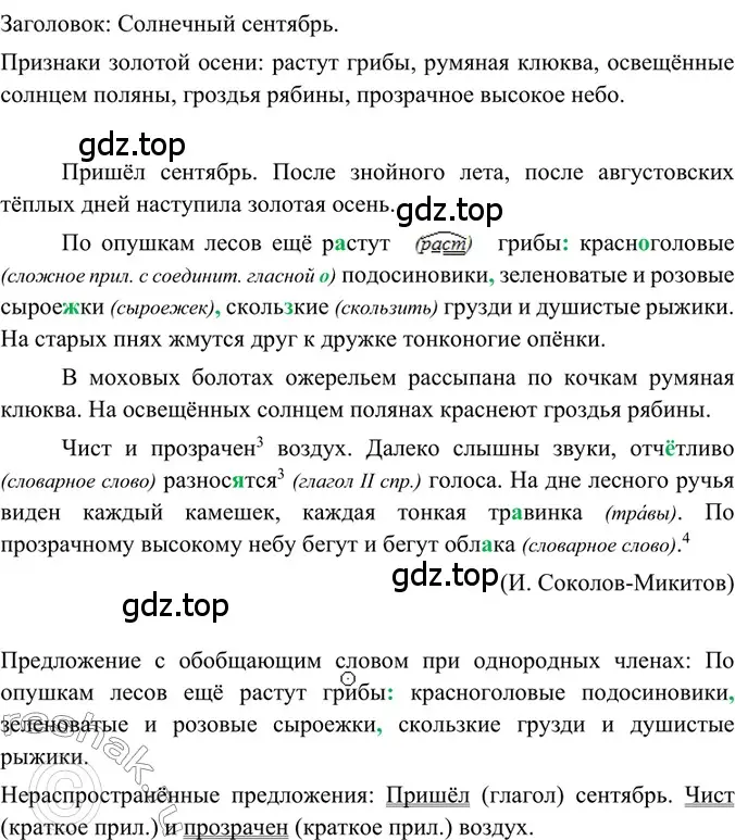 Решение 2. номер 62 (страница 30) гдз по русскому языку 6 класс Баранов, Ладыженская, учебник 1 часть