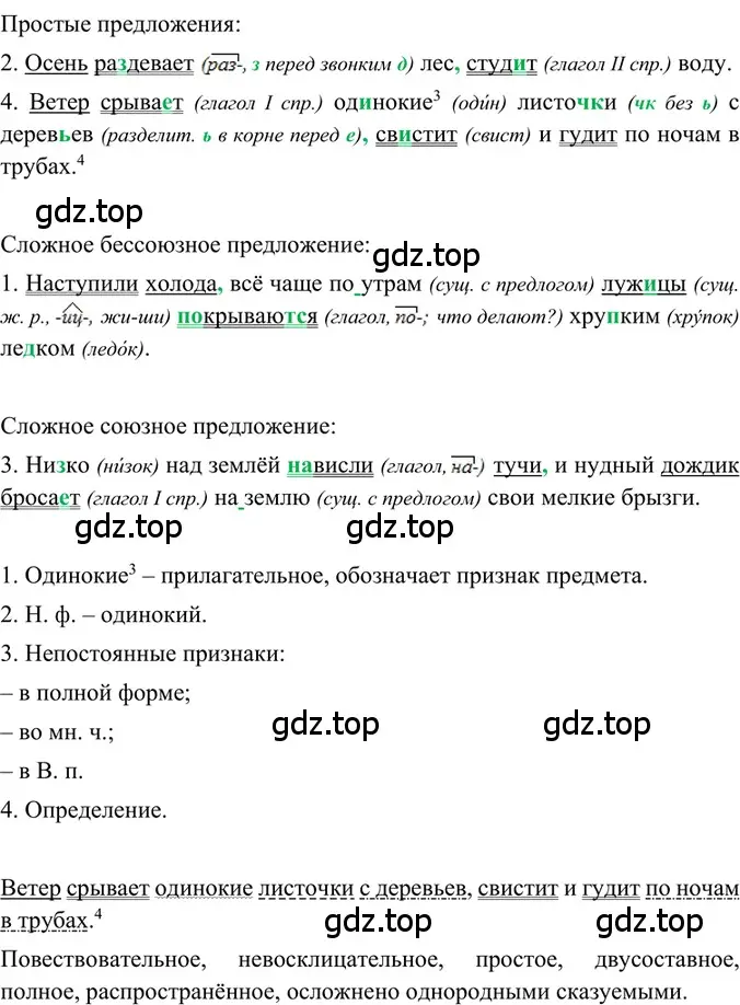 Решение 2. номер 65 (страница 31) гдз по русскому языку 6 класс Баранов, Ладыженская, учебник 1 часть