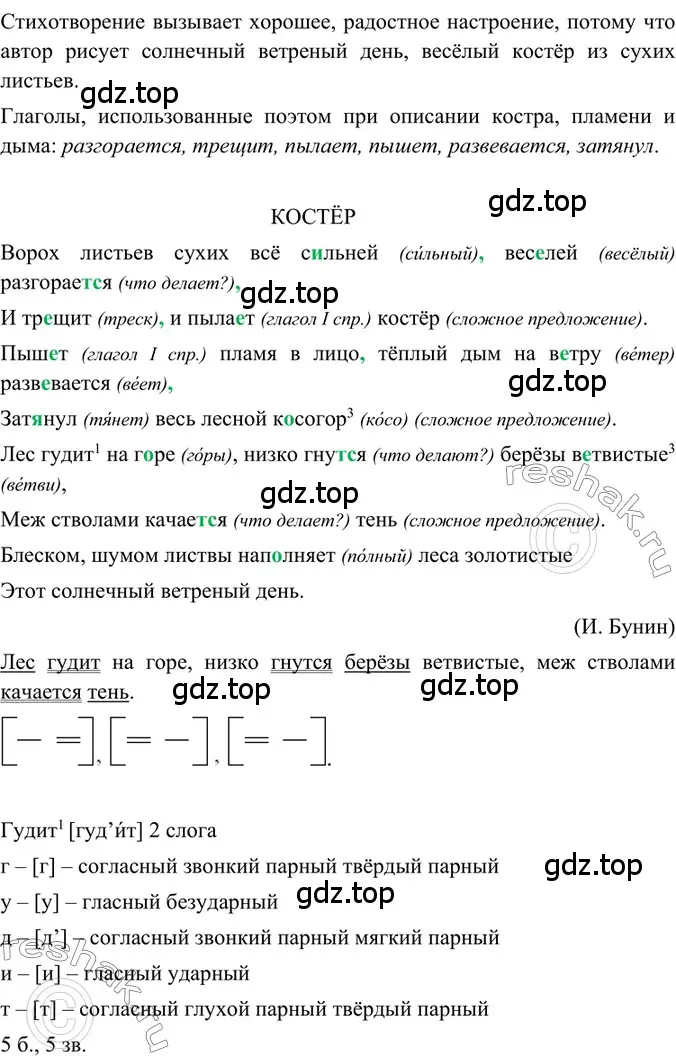 Решение 2. номер 66 (страница 31) гдз по русскому языку 6 класс Баранов, Ладыженская, учебник 1 часть