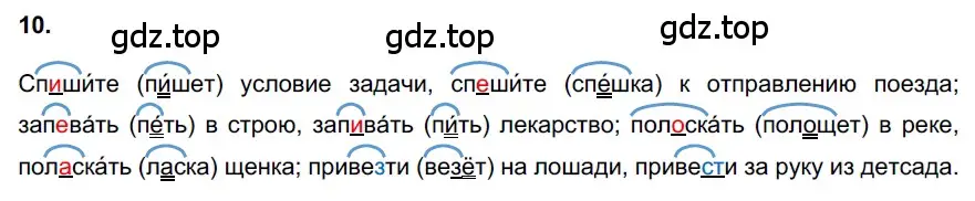 Решение 3. номер 10 (страница 7) гдз по русскому языку 6 класс Баранов, Ладыженская, учебник 1 часть