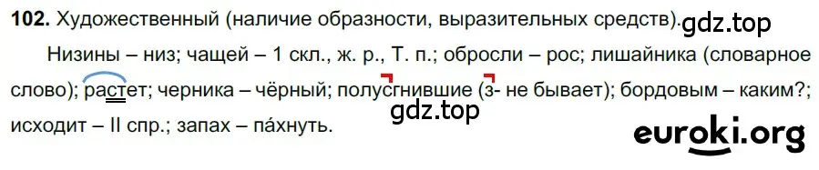 Решение 3. номер 102 (страница 48) гдз по русскому языку 6 класс Баранов, Ладыженская, учебник 1 часть